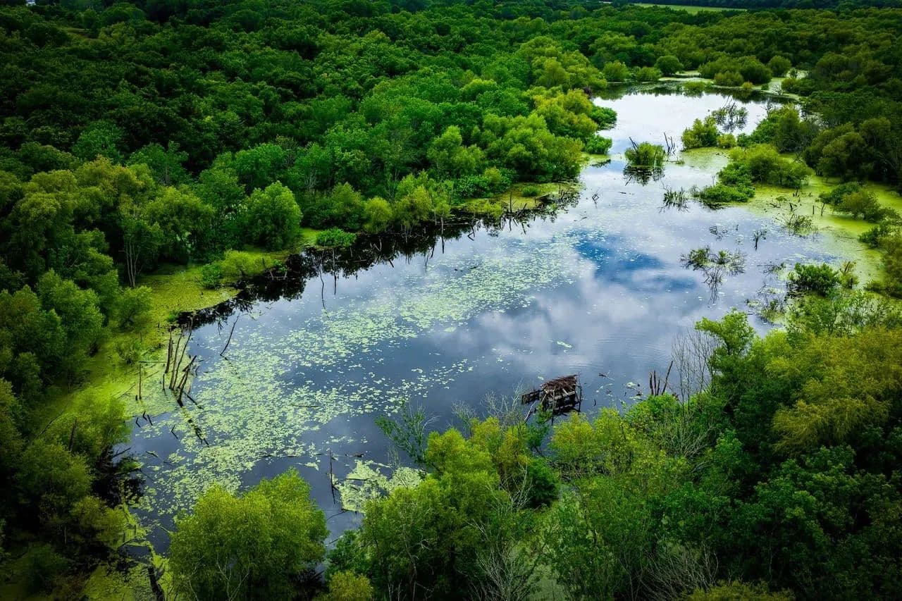 Trinity Bottoms - Ferris, Texas, 75125