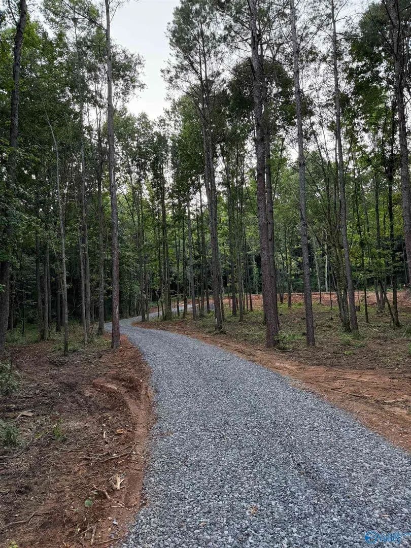 8.3 Acres of Land for Sale in Guntersville, AL - Guntersville, Alabama, 35976