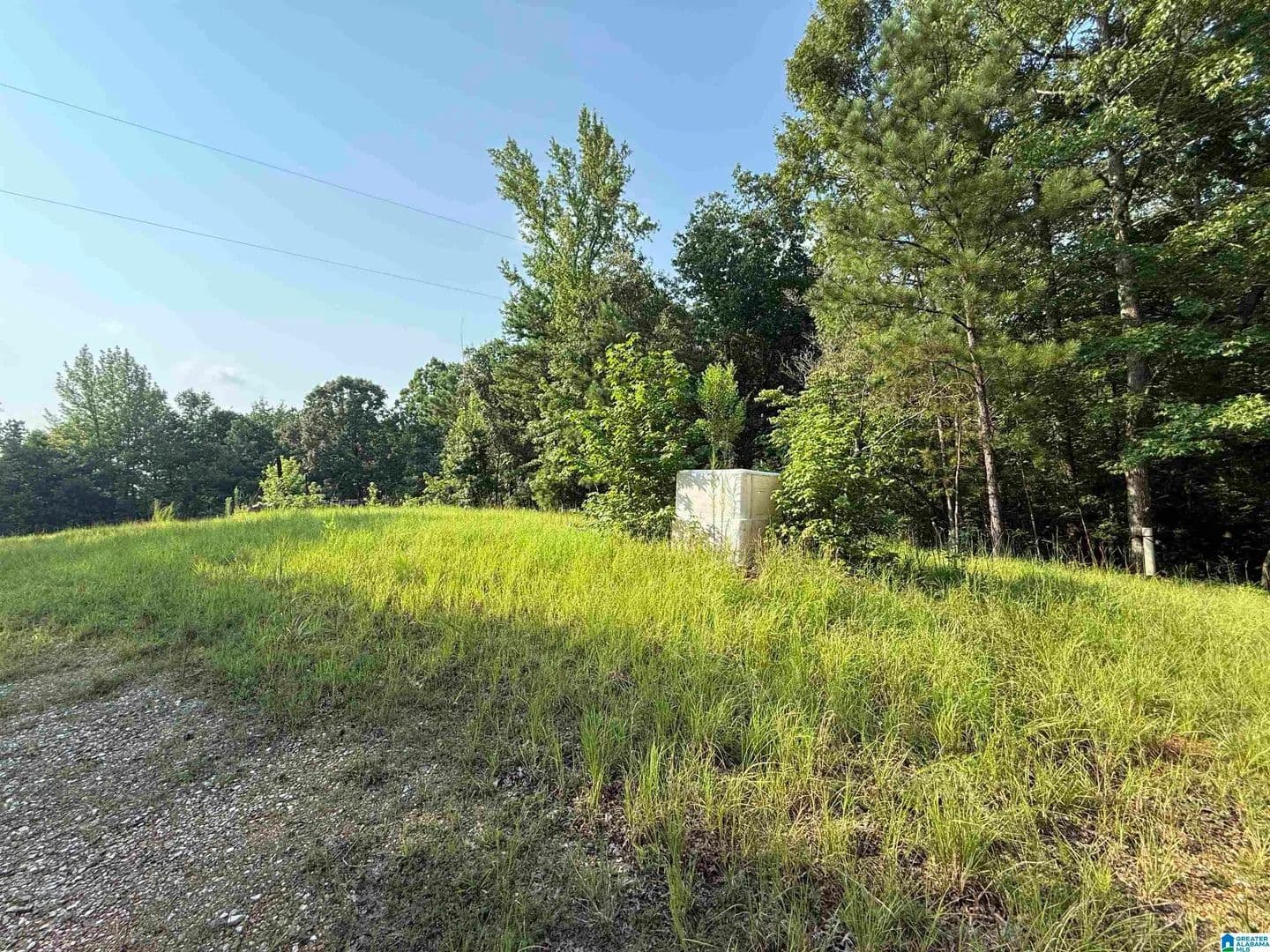 16.4 Acres of Land for Sale in GOODWATER, AL - Goodwater, Alabama, 35072