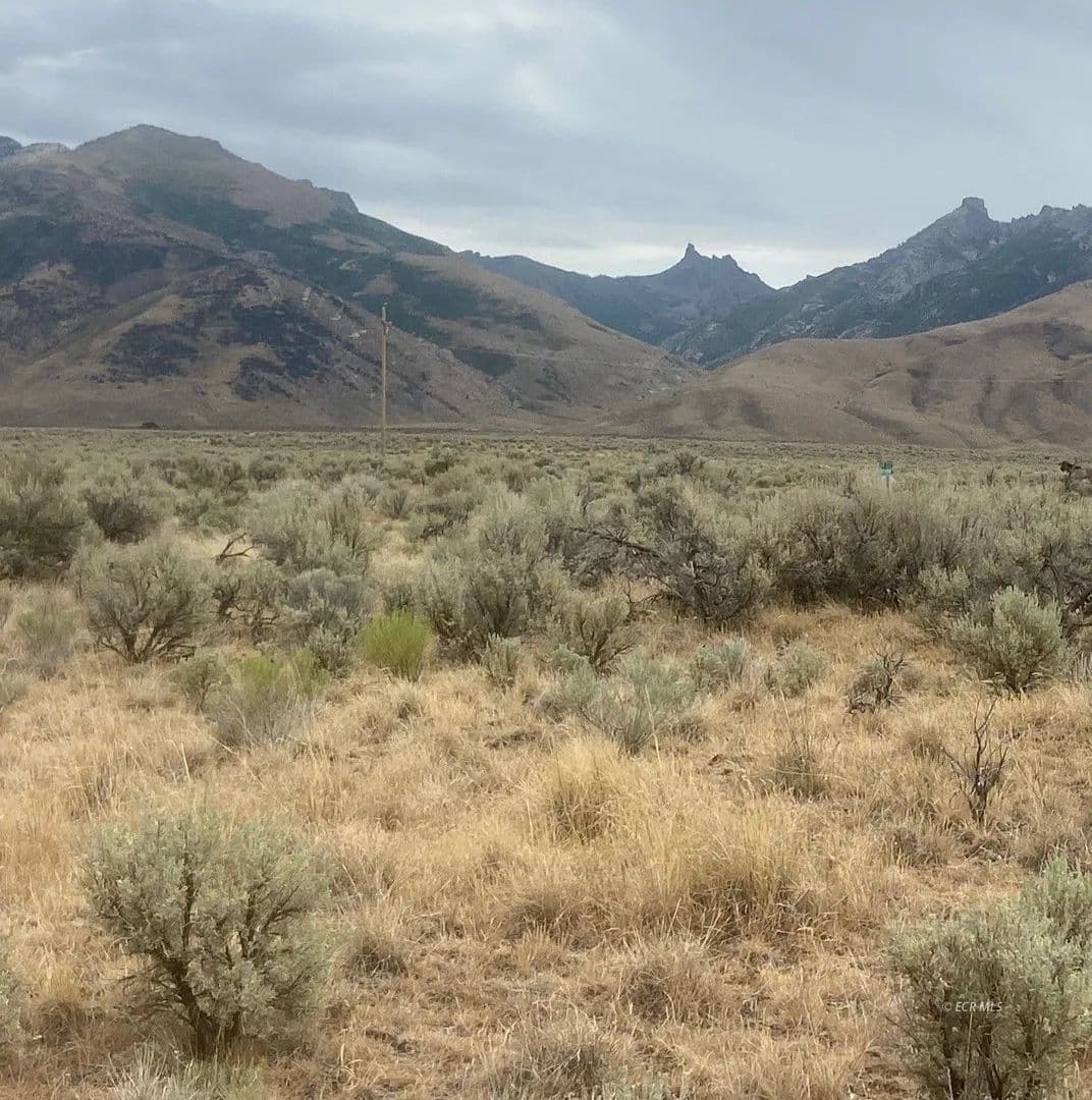 Vacant Land in Lamoille - Lamoille, Nevada, 89828