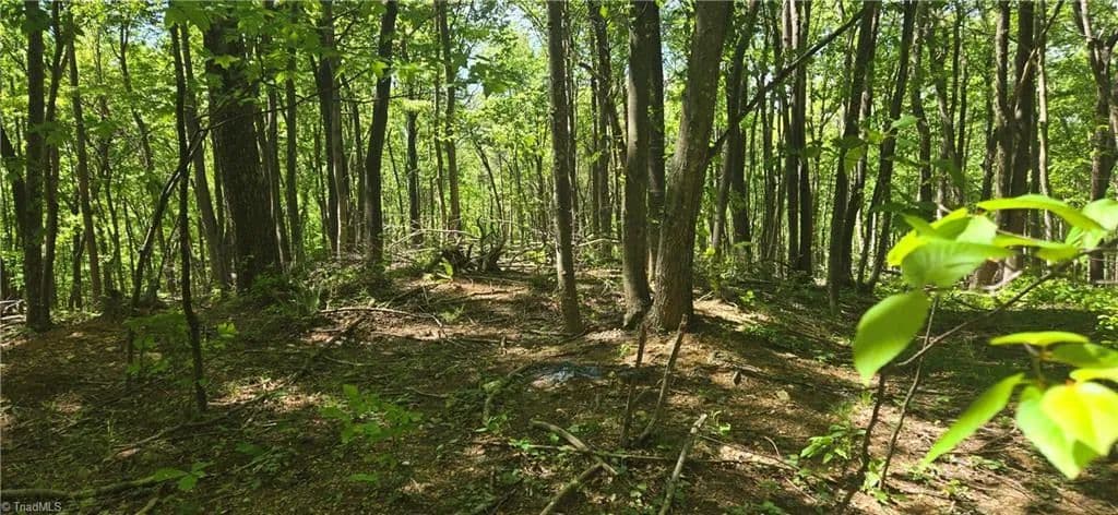 Property from 00 Goose Creek Lane - KW - Ararat, Virginia, 24053