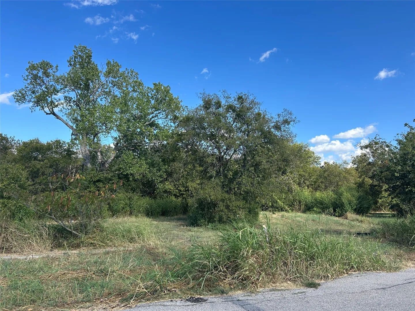 Property from 303 Inez Hardy Way - KW - Grandview, Texas, 76050