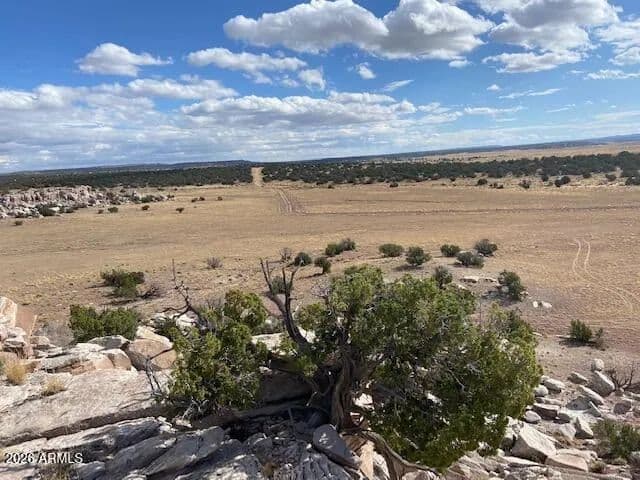 Property from 937/934 Woodland Valley Ranches -- #937 &n 934 - KW - St Johns, Arizona, 85936