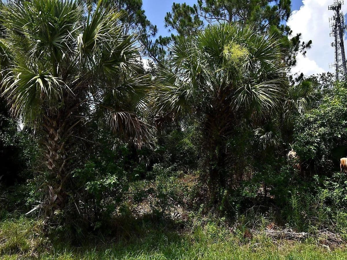 Property from SAGO PALM ROAD - KW - North Port, Florida, 34291