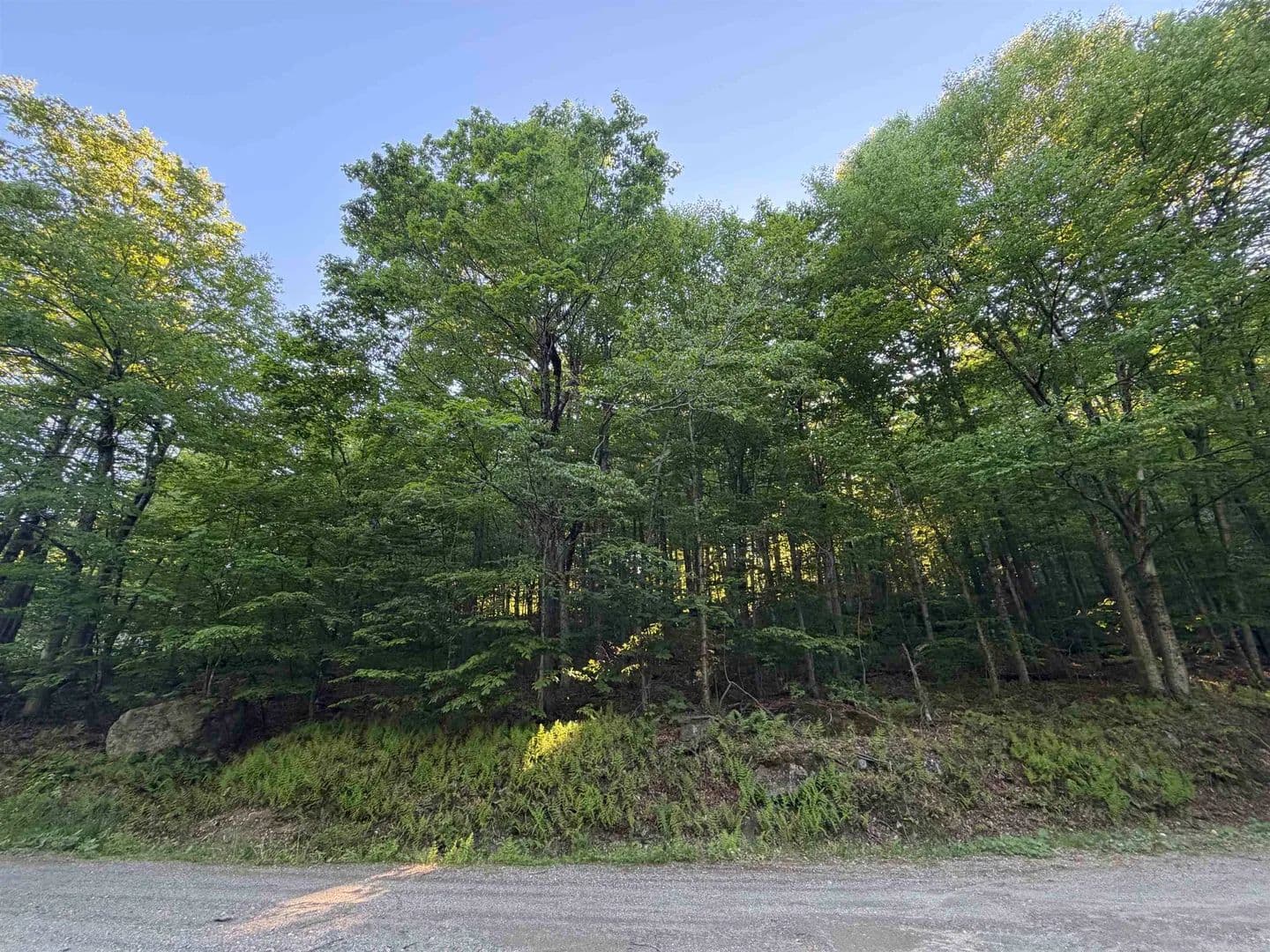 Property from Scattered Timber Road - KW - Wilmington, Vermont, 5363
