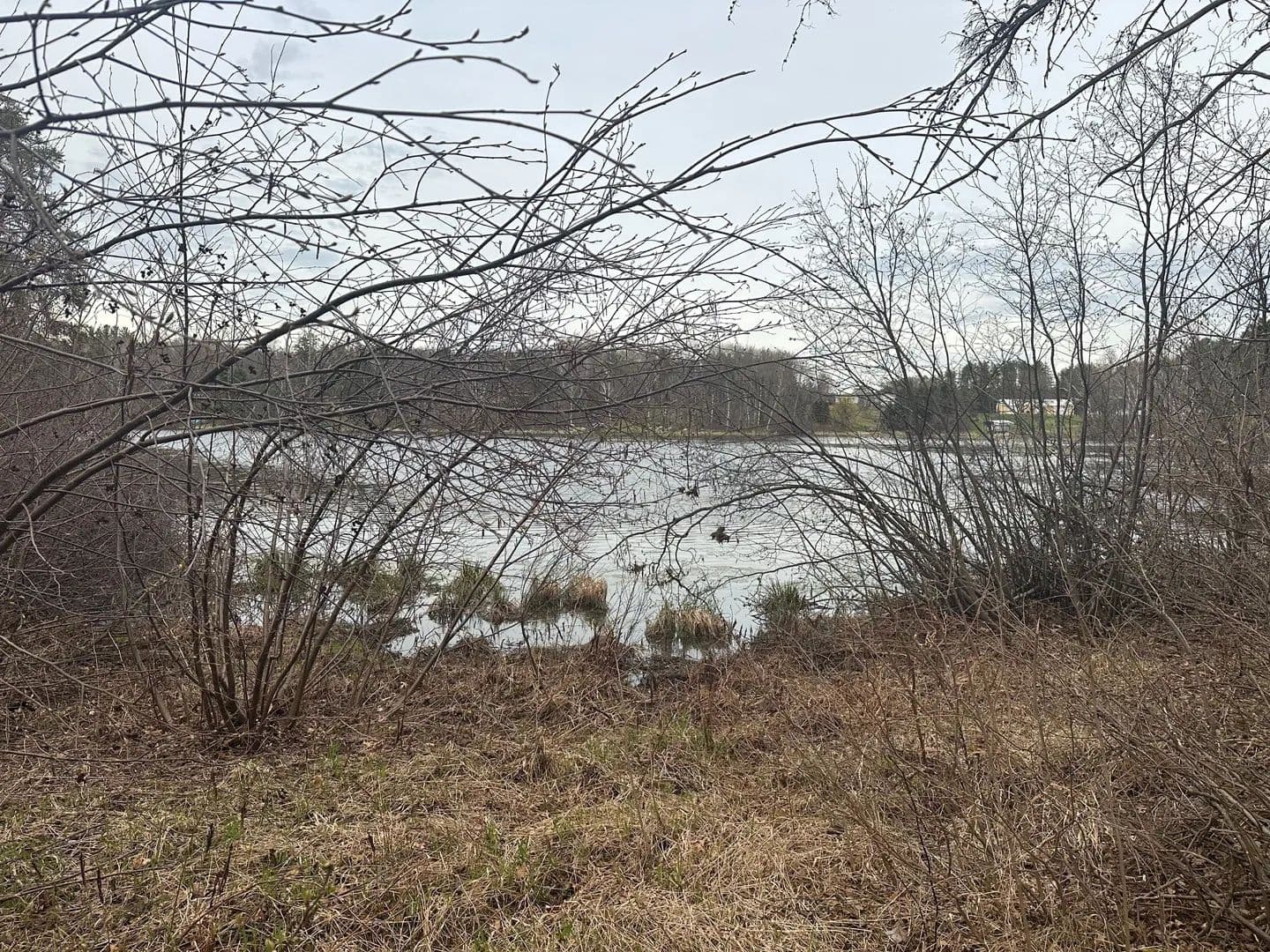 3.34 Acres of Land for Sale in Trego, Wisconsin - Trego, Wisconsin, 54888