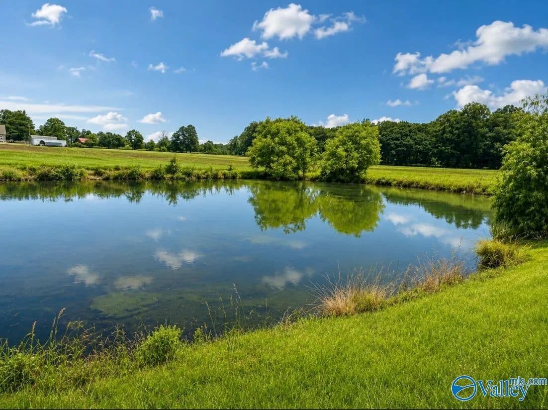 Property from 44 acres County Road 83 - KW - Centre, Alabama, 35960