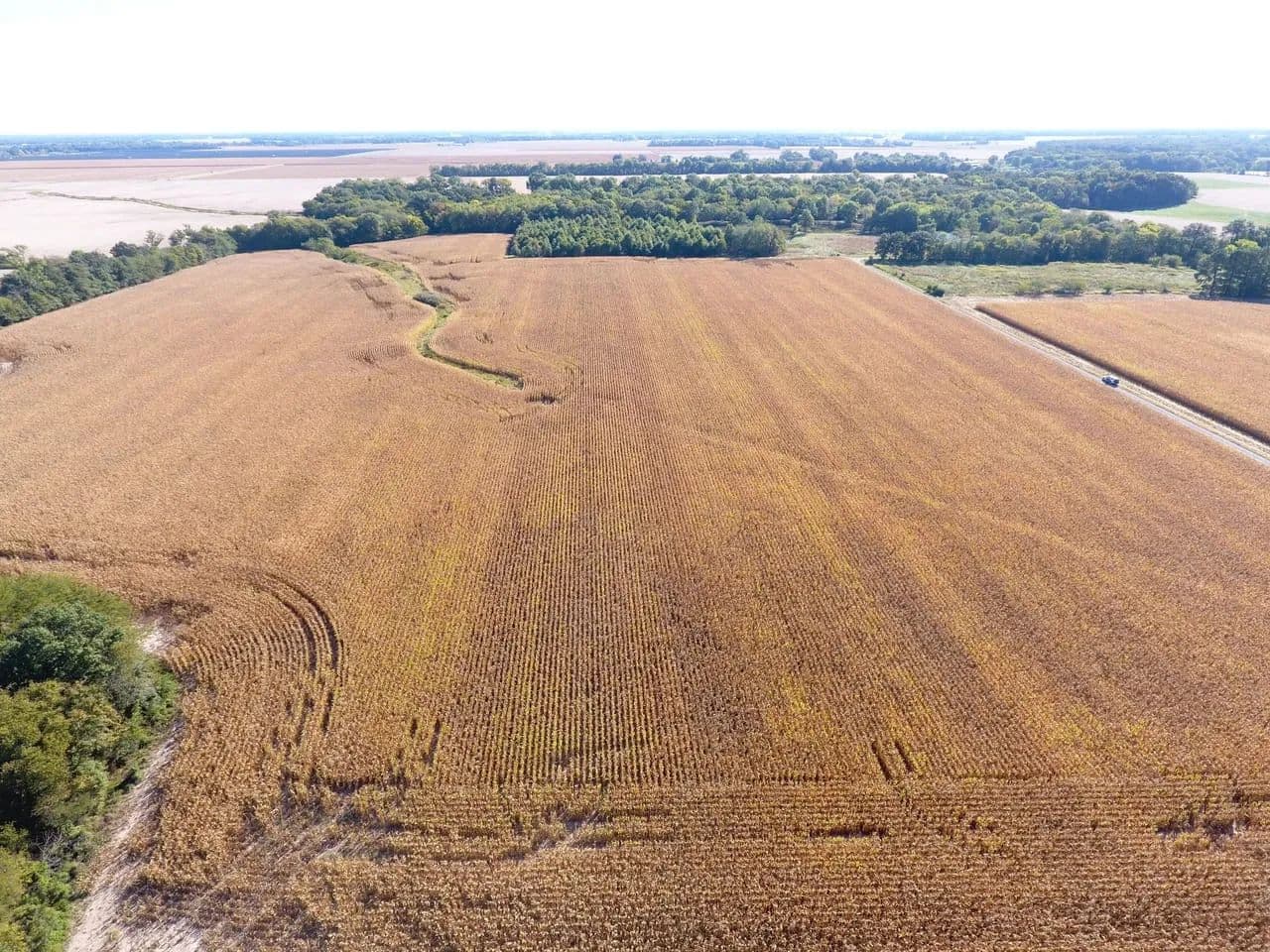 Dow 40 Acres - Xenia, Illinois, 62899