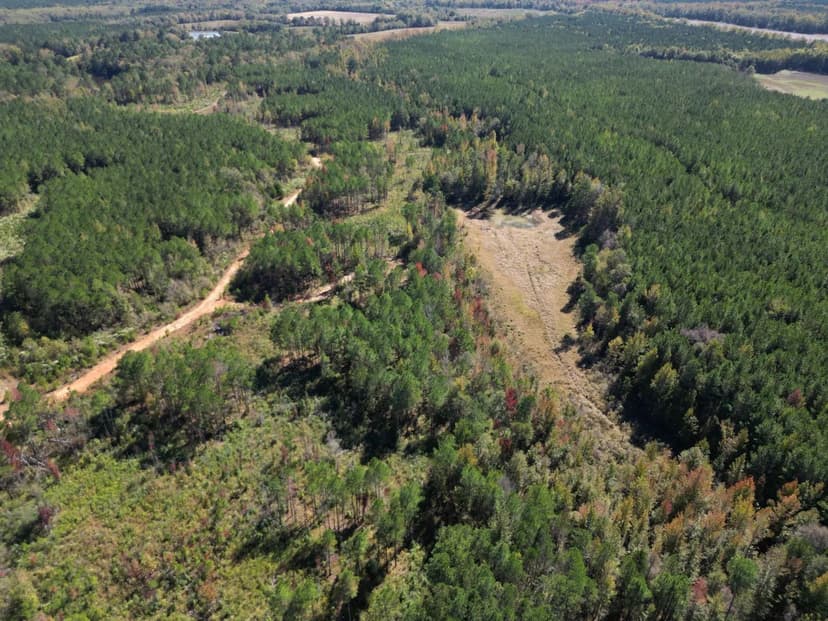 200 Acres in Montgomery County in Kilmichael, MS