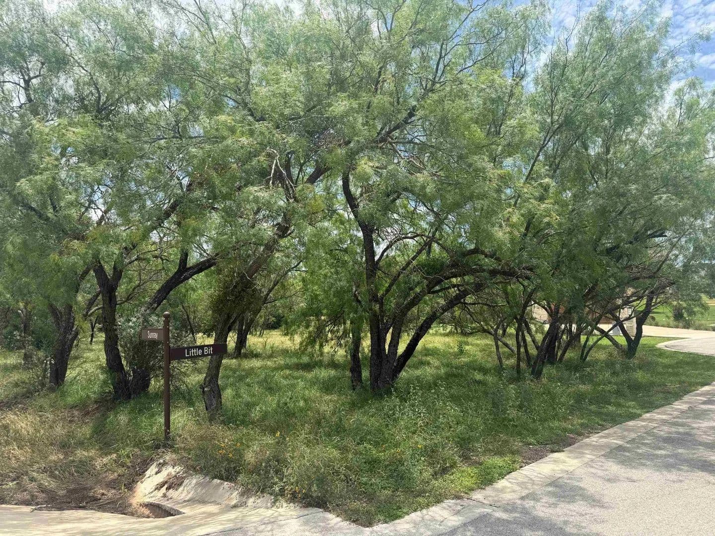 0.29 Acres of Land for Sale in Horseshoe Bay, Texas - Horseshoe Bay, Texas, 78657