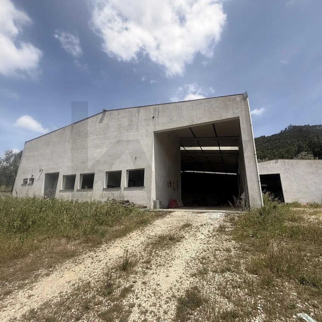 2185 Acres of Land for Sale in Penacova, Penacova - land for sale