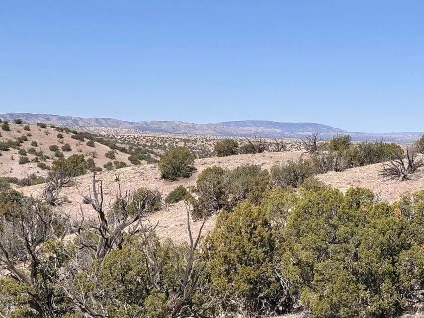 Property from Lot 124 Abbe Springs - KW - Magdalena, New Mexico, 87825