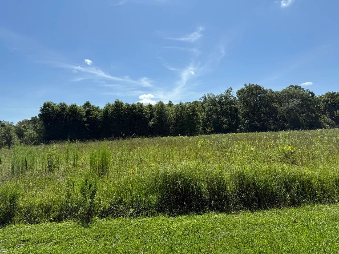 Beautiful 20 Acres Homeplace Pasture Setting - Rayville, Louisiana, 71269
