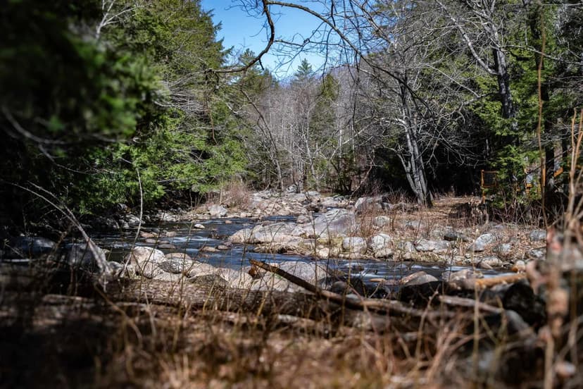 Property from Lot 1 N Dorchester Road - KW