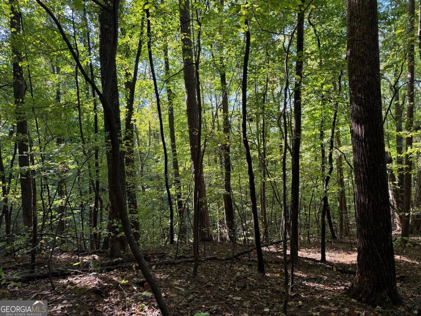 Lots & Land-Other in Ellijay - land for sale