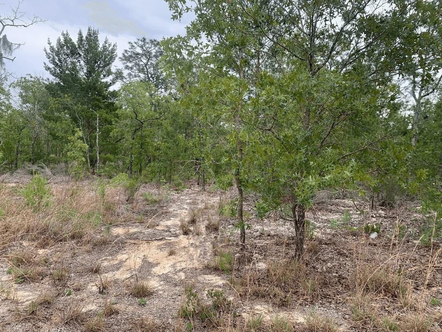 0.22 Acres of Land for Sale in Interlachen, Florida - Interlachen, Florida, 32148