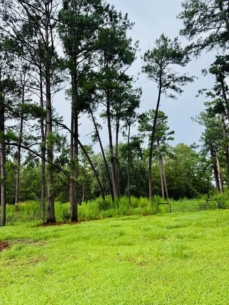 Property from 4546 MT Zion Road - KW - Valdosta, Georgia,
