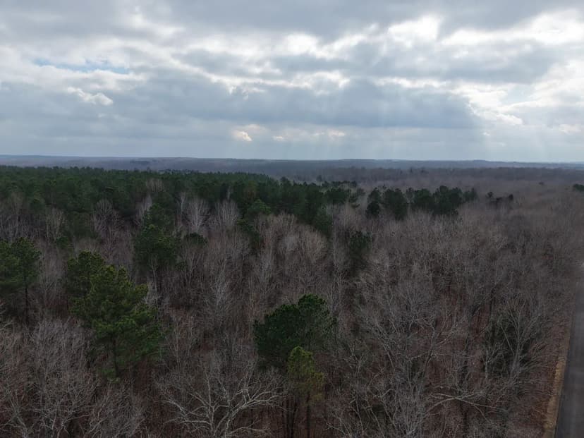 20 Acres in Benton County, TN