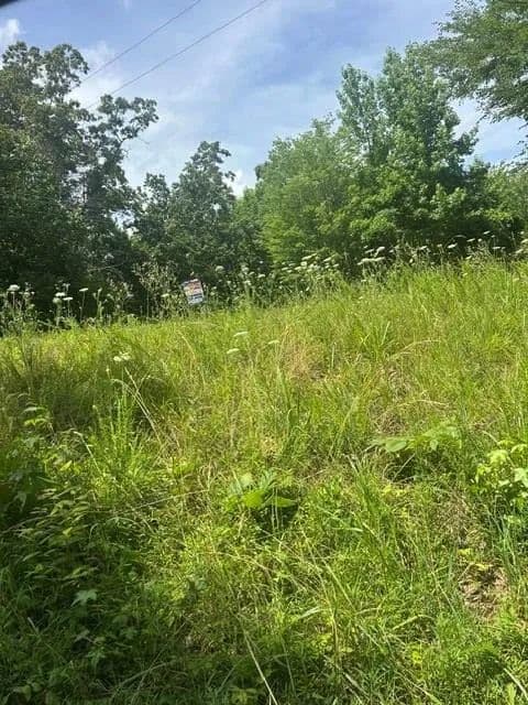 0.5 Acres of Land for Sale in Buchanan, Tennessee - Buchanan, Tennessee, 38222