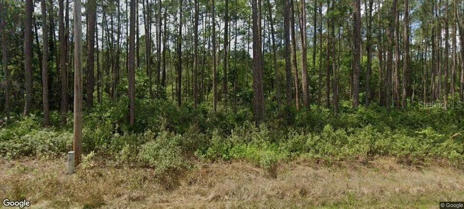 Property from 137 E BOUNDARY DRIVE - KW - Georgetown, Florida, 32139