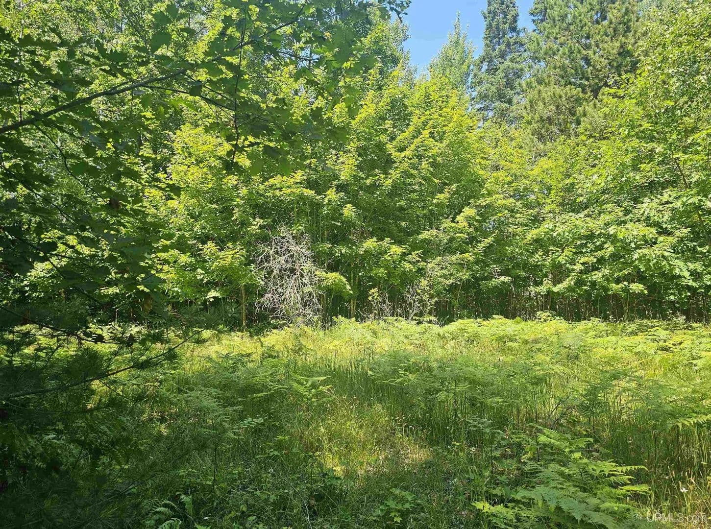 Vacant Land in Houghton - Houghton, Michigan, 49931
