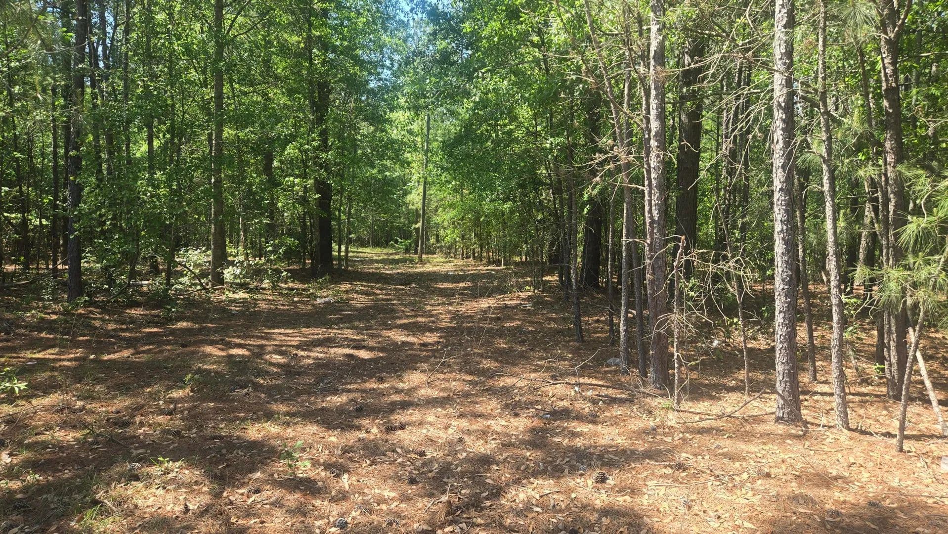 Property from 415 Pearson Road - KW - Sumter, South Carolina, 29150