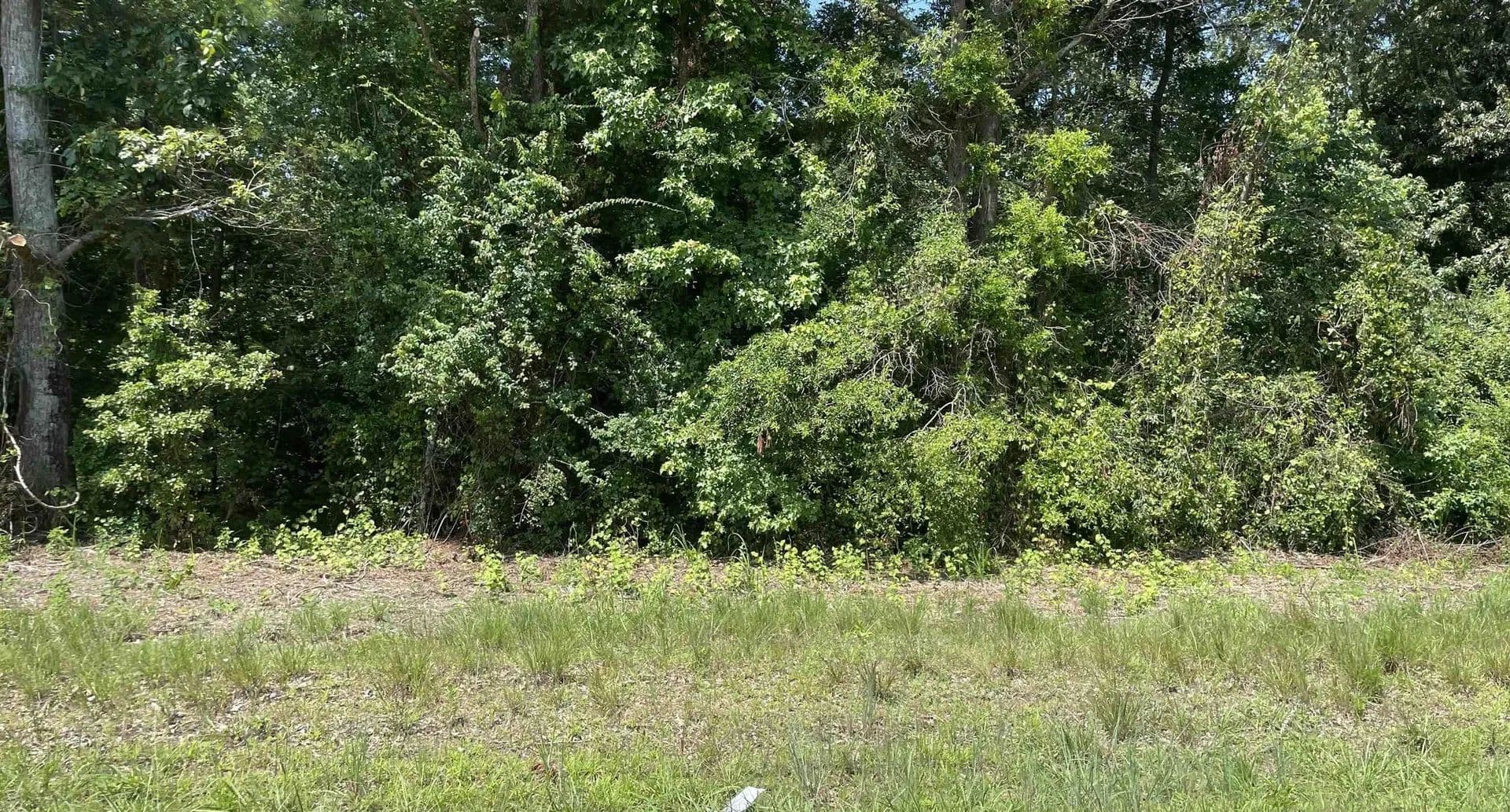 Lots & Land-Other in Athens - land for sale