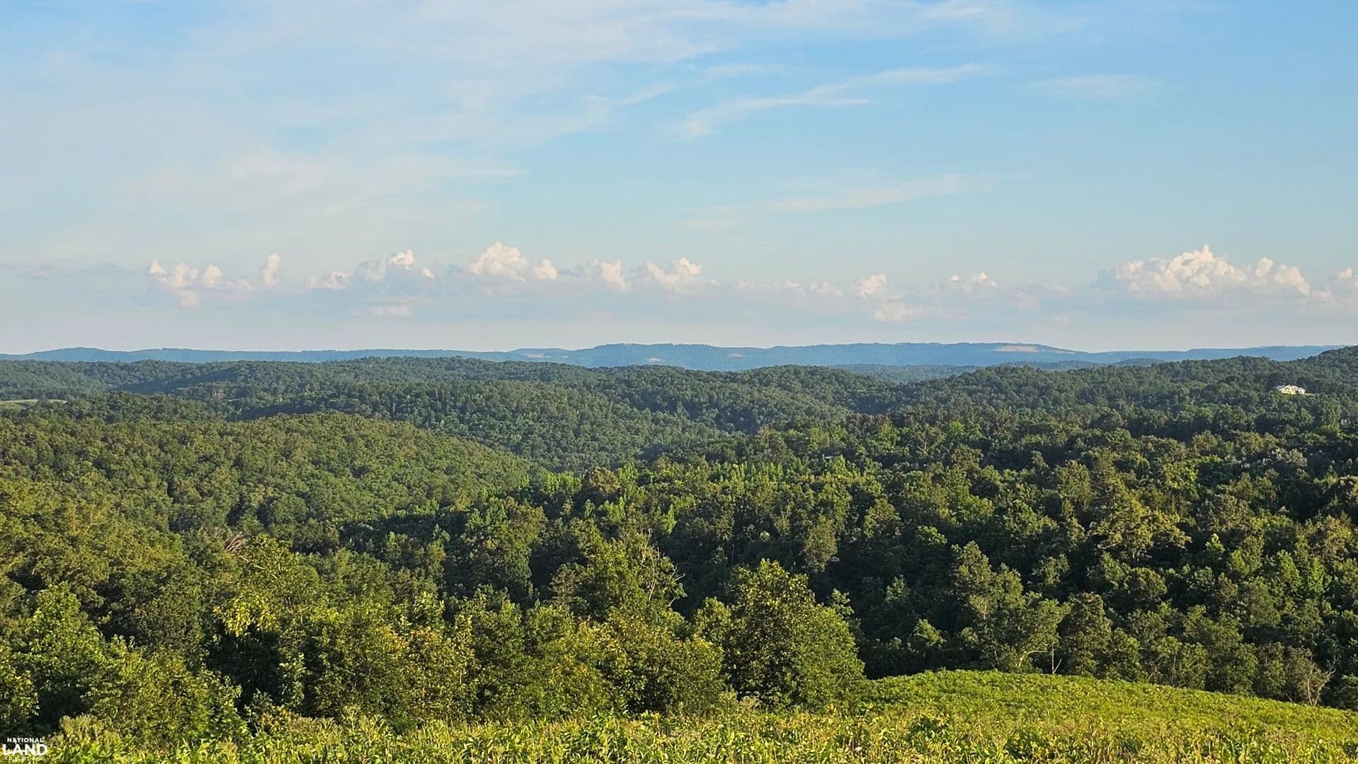 102+/- Acres Tomahawk Slab Road - Saint Joe, Arkansas, 72675