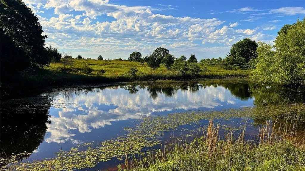 40 Acres of Land for Sale in Konawa, Oklahoma - Konawa, Oklahoma, 74849