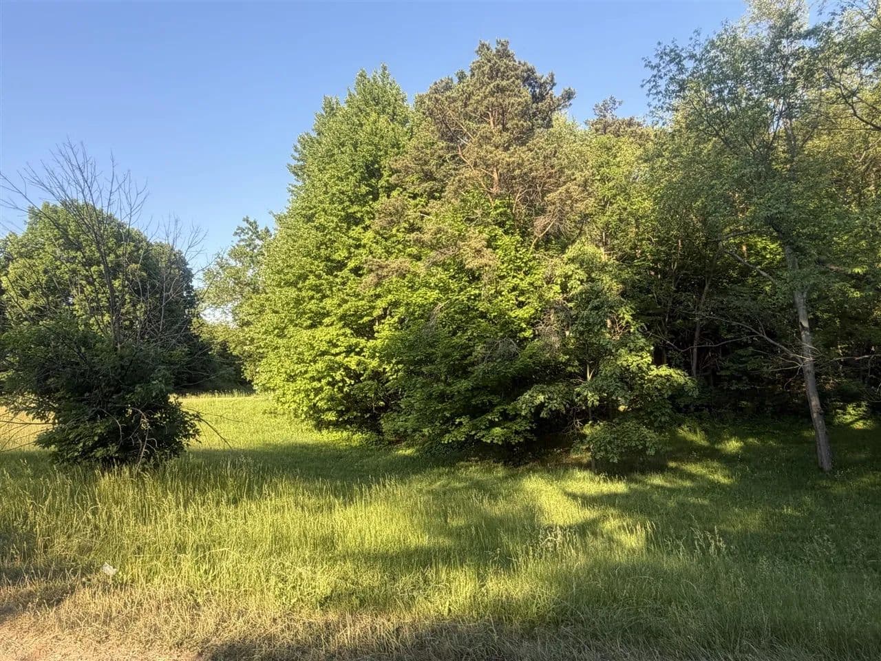 1.46 Acres of Land for Sale in Delton, Michigan - Delton, Michigan, 49046