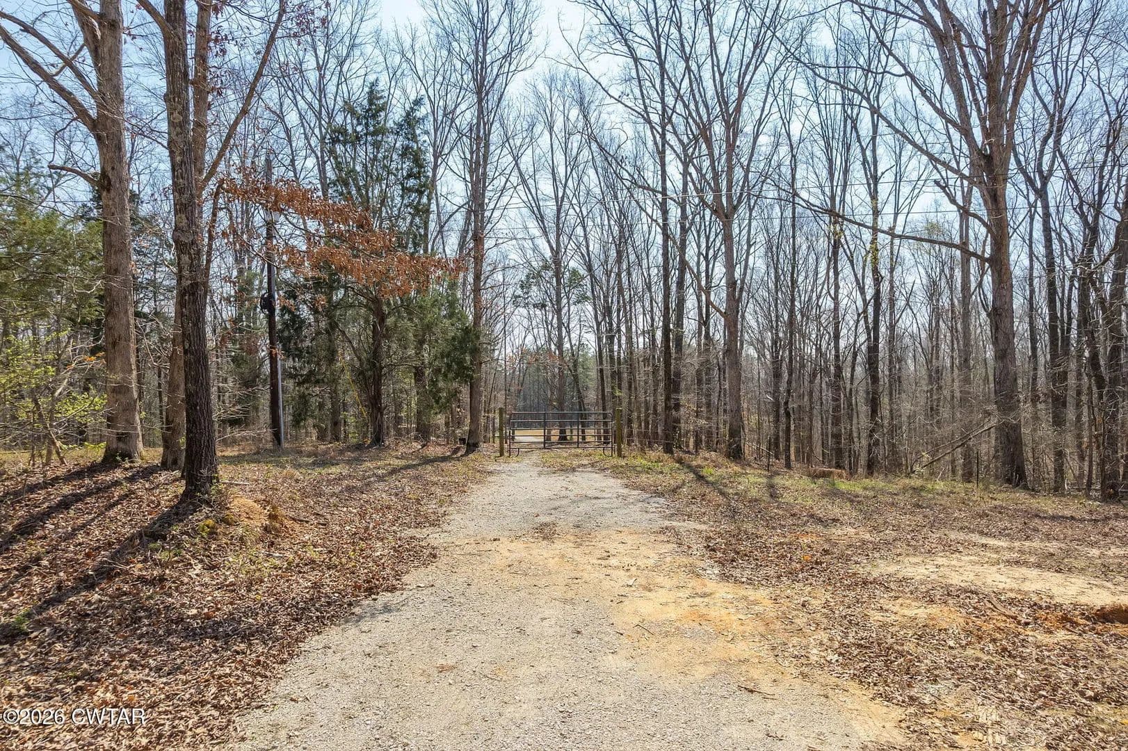 Vacant Land in Henderson - Henderson, Tennessee, 38340