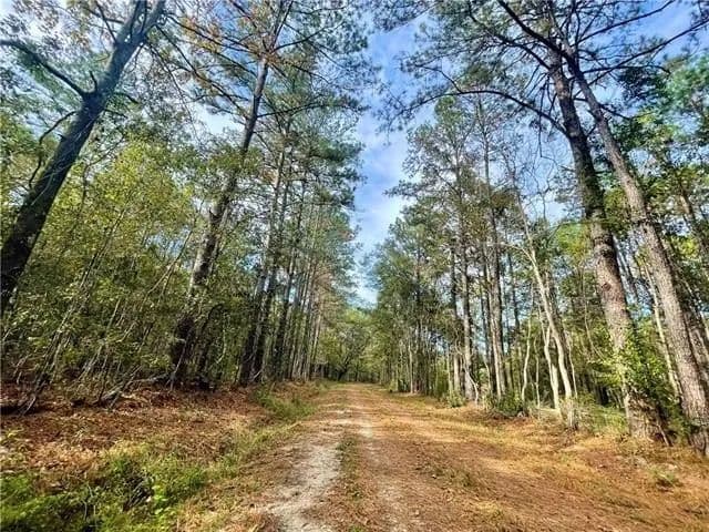 Lots & Land-Other in Pearl River - land for sale