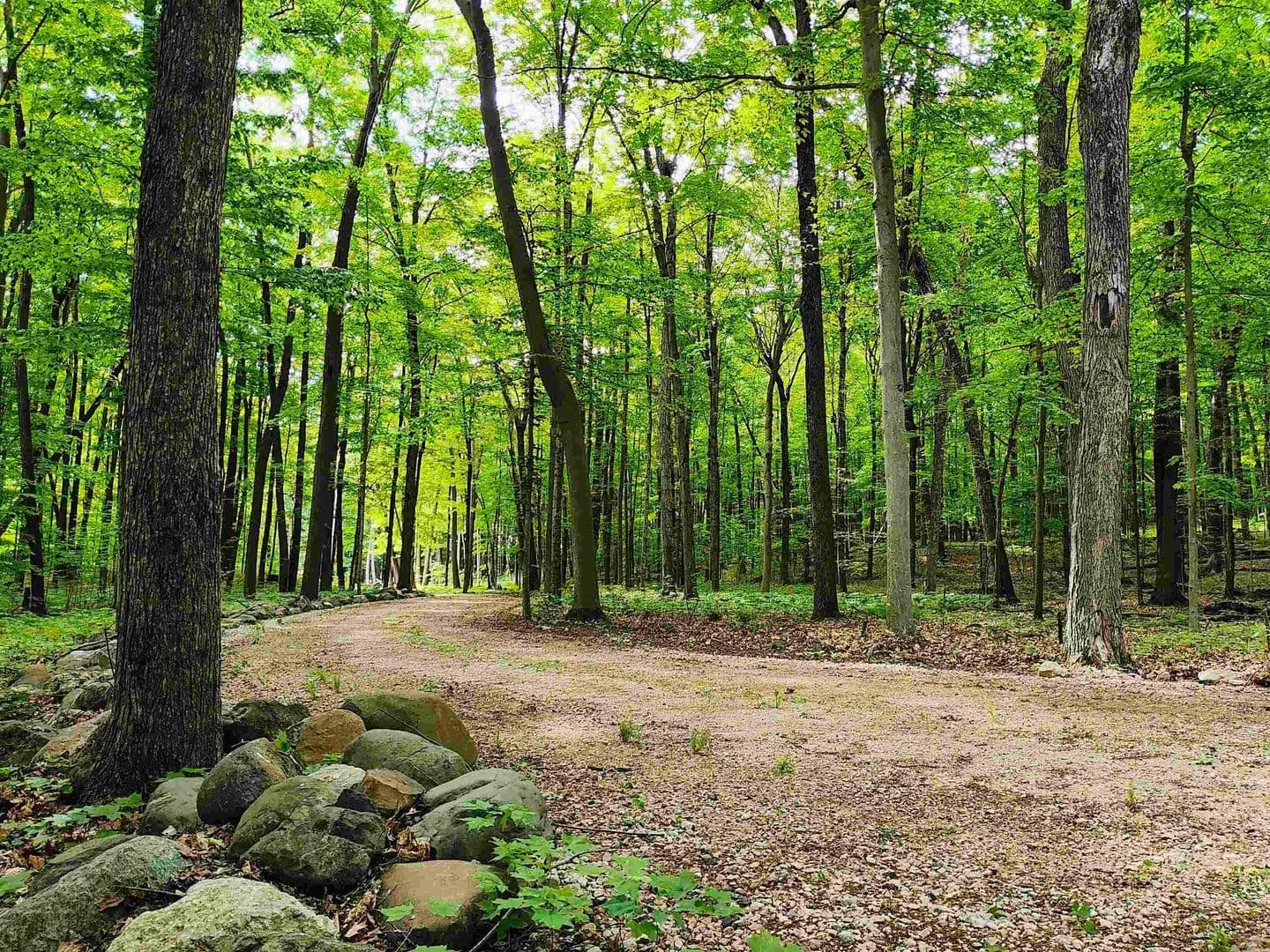 11.34 Acres of Land for Sale in Plymouth, Wisconsin - Plymouth, Wisconsin, 53073