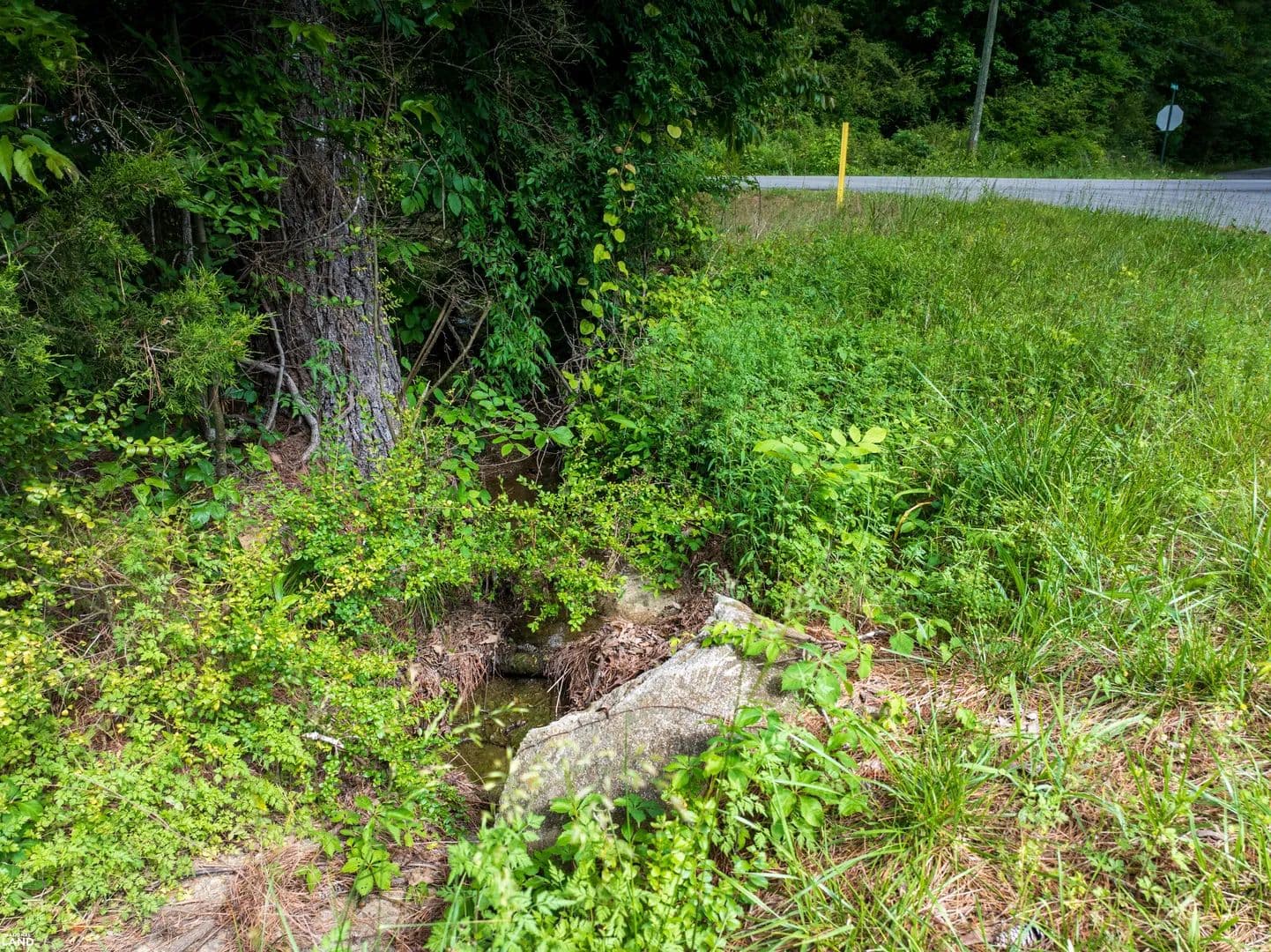 Mat Morrow Road Lot - Arab, Alabama, 35016