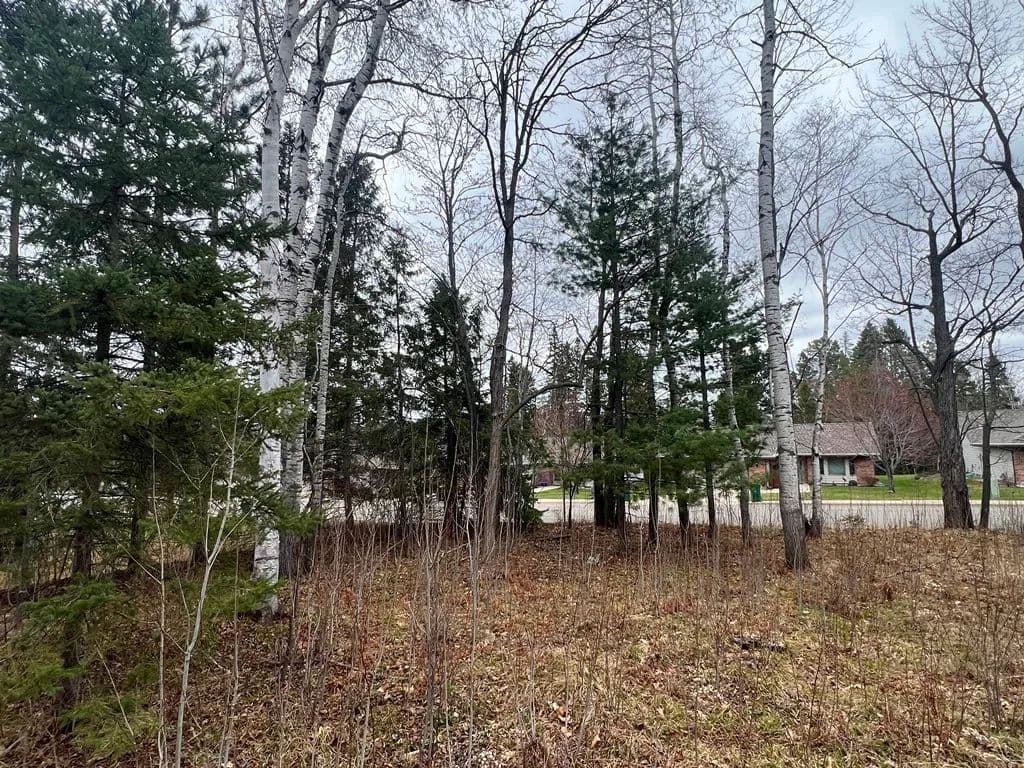 Land -Single Family Acreage in Grand Rapids - Grand Rapids, Minnesota, 55744