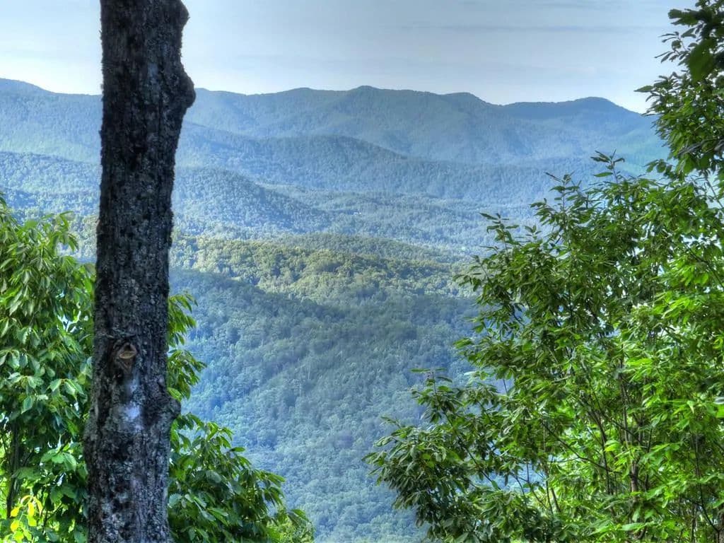 2.73 Acres of Land for Sale in Ellijay, Georgia - Ellijay, Georgia, 30540