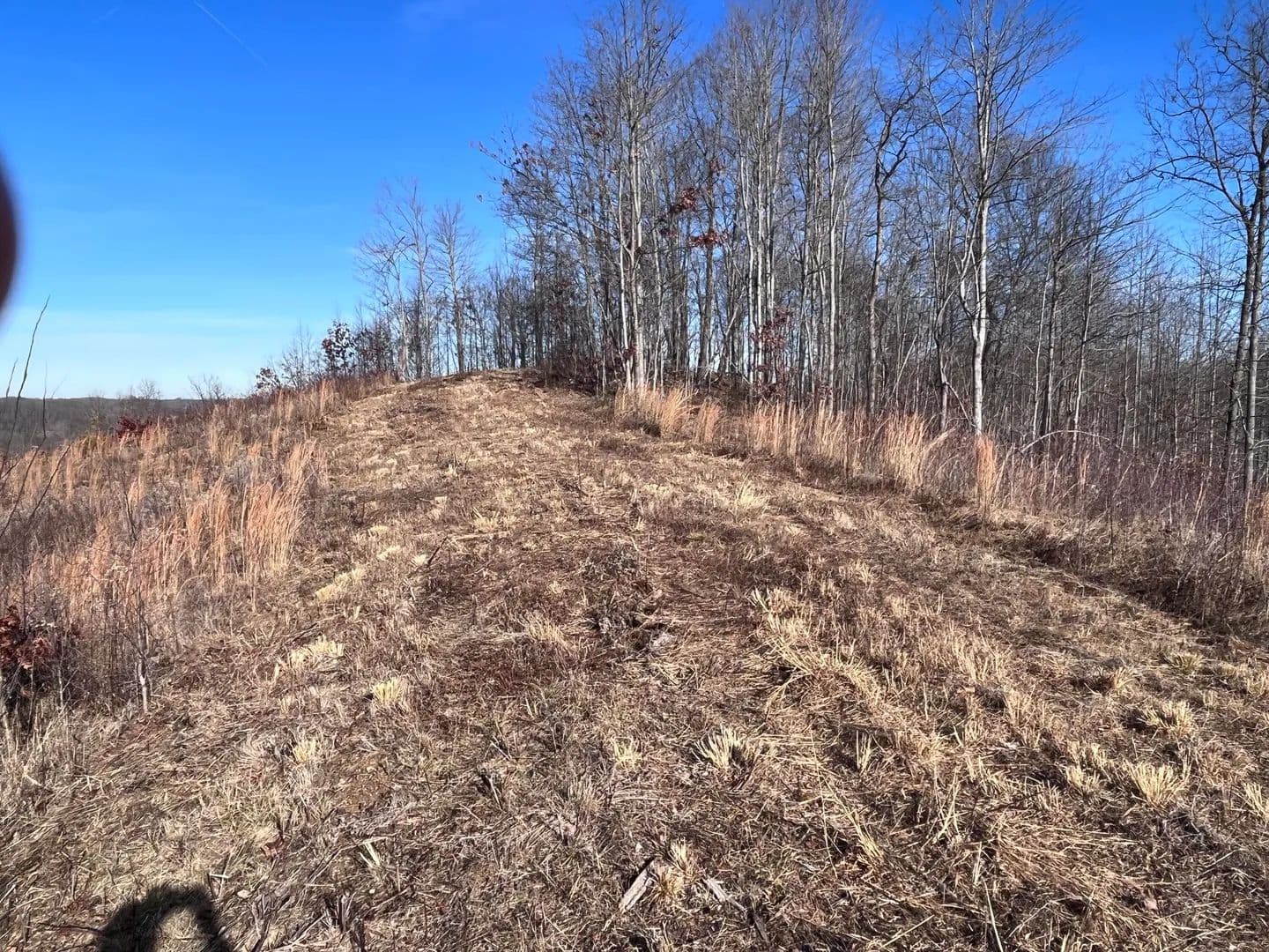 Property from 2555 Kentucky 1071 - KW - Tyner, Kentucky, 40486