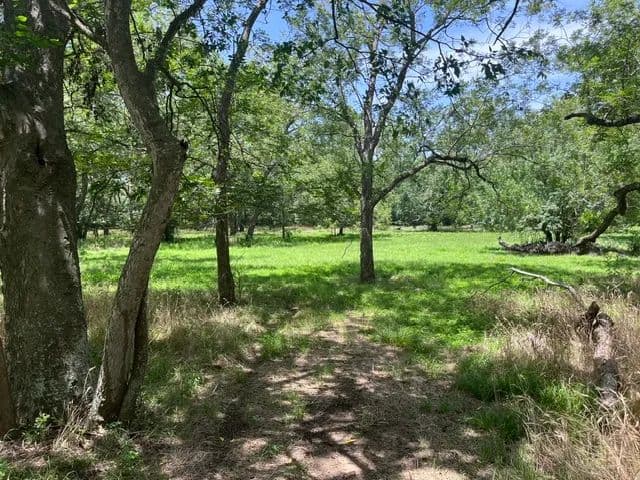 18.2 Acres of Land for Sale in Red Rock, Texas - Red Rock, Texas, 78662