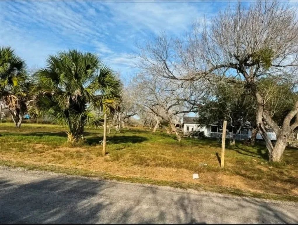 1 Acre of Land for Sale in Skidmore, Texas - Skidmore, Texas, 78389