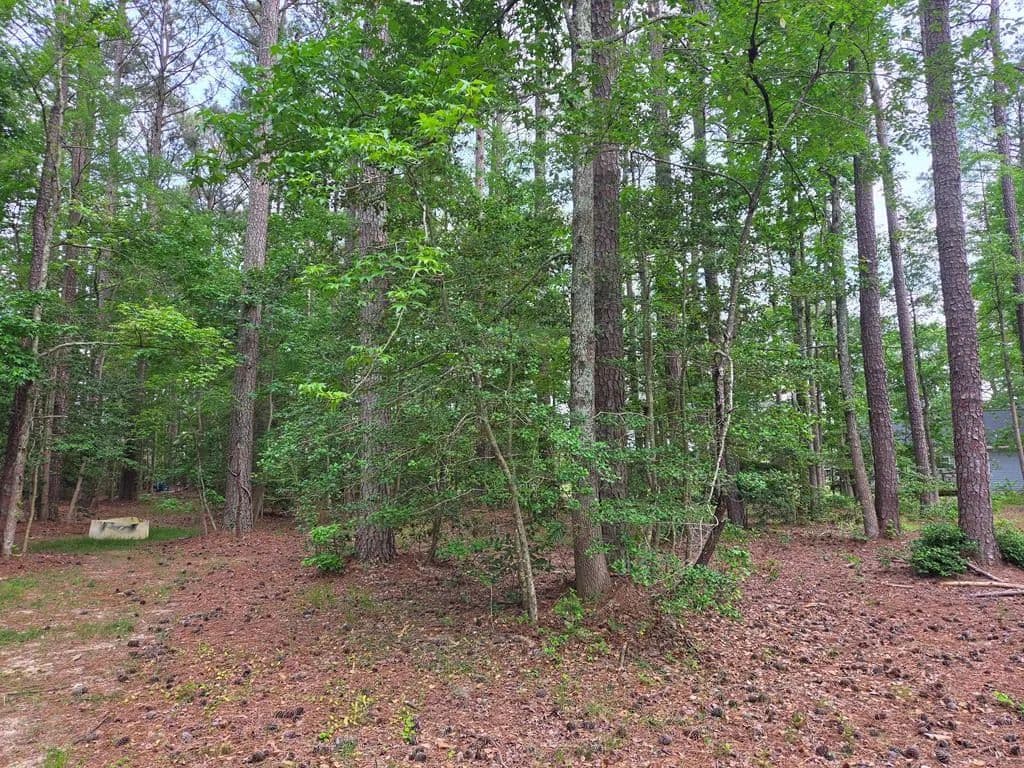 Property from Lot 272 Military Court - KW - Montross, Virginia, 22520