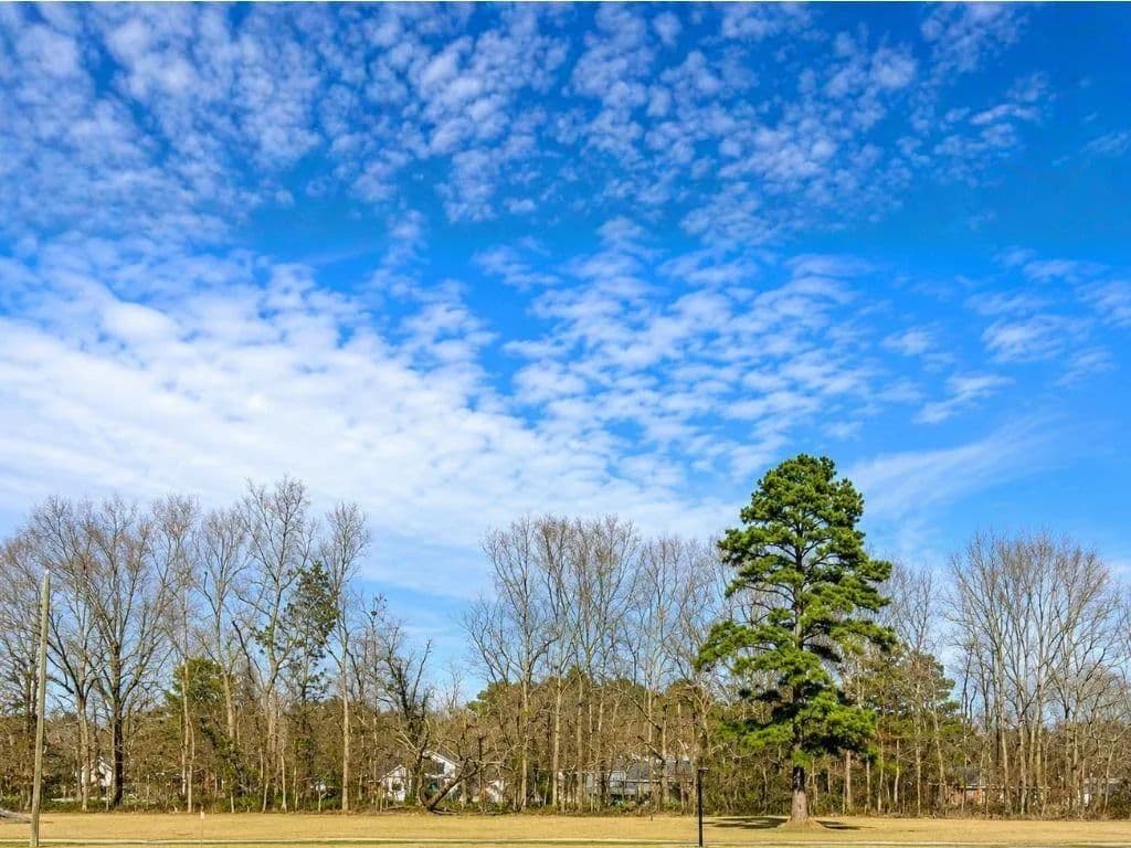 Property from 44068 MARY SINGLETARY Road - KW - Louisiana, 70774