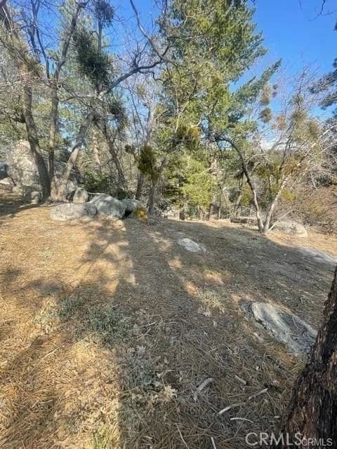 Vacant Land in Running Springs - Running Springs, California, 92382