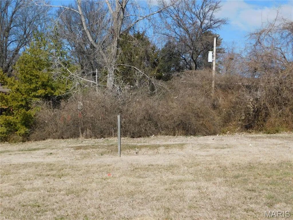 Vacant Land in St Louis - land for sale