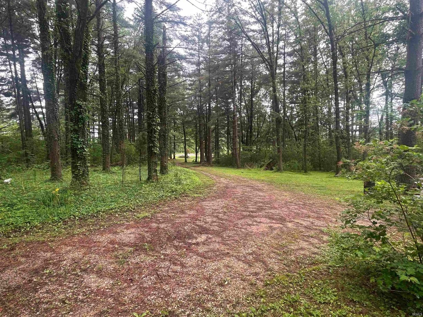 Property from 12541 N County Road 175 Road - KW - Chrisney, Indiana, 47611