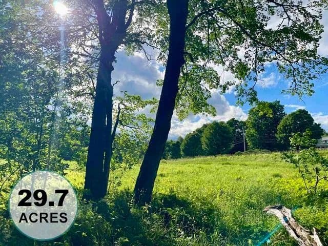 29.7 Acres of Land for Sale in Burke, VT - Burke, Vermont, 05871