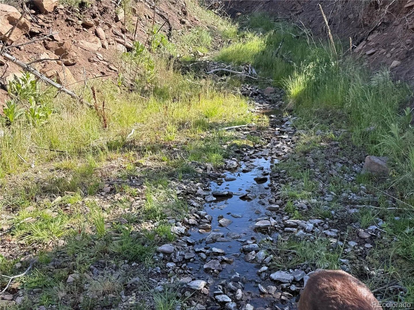 41.3 Acres of Land for Sale in Fort Garland, CO - Fort Garland, Colorado, 81133