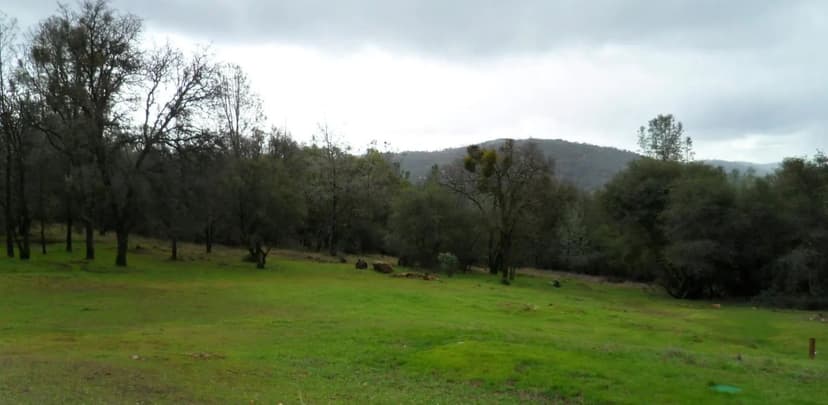 Property from 8074 Wildflower Way - KW