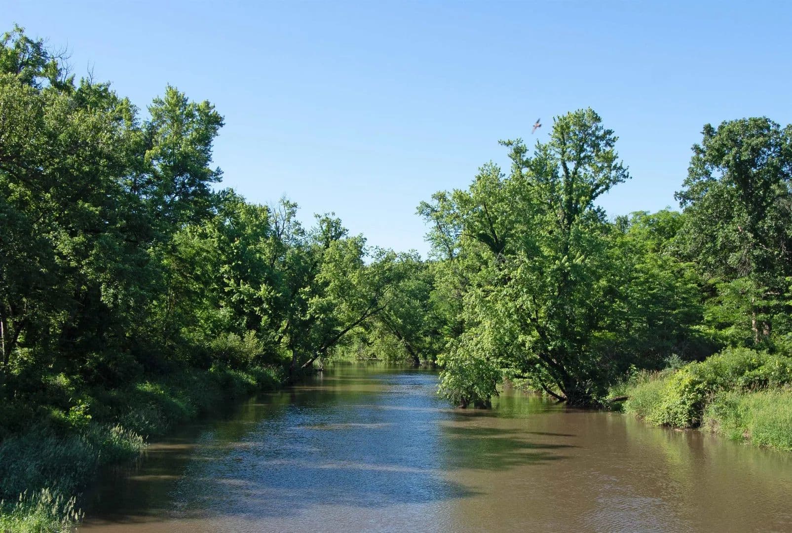 7.59 Acres of Land for Sale in Buena Vista, Wisconsin - Buena Vista, Wisconsin, 53556