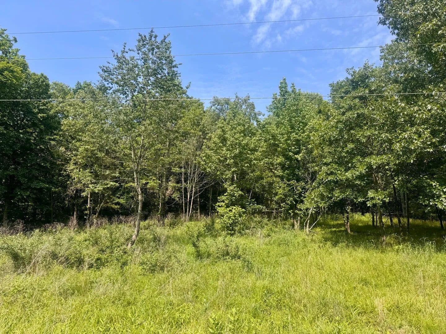 Property from 000 Shawnee Drive - KW - Goreville, Illinois, 62939