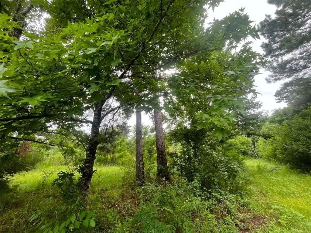 Lots & Land-Other in Center Point - Center Point, Louisiana, 71323